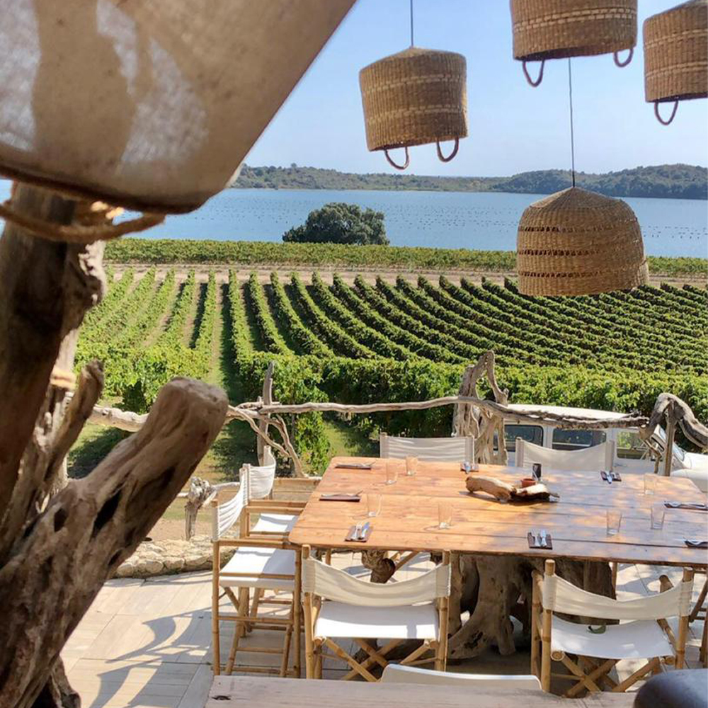 Produits locaux et vignes