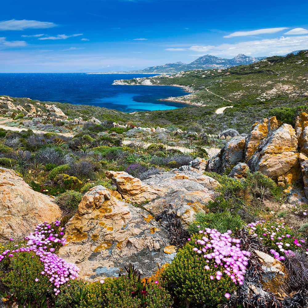 Une immersion dans les paysages corses