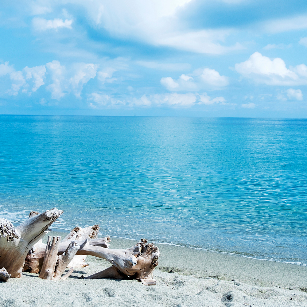 5. Profiter des plages de la côte orientale